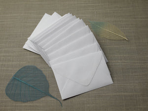 The envelope project for 2021